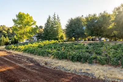 2925 Anderson Road, Paso Robles, CA 93446 - Photo 24