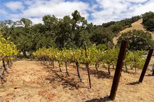 14405 Santa Lucia Rd, Atascadero, CA 93422 - Photo 22