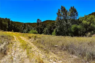 4169 Stagecoach Canyon, Santa Margarita, CA 93453 - Photo 4