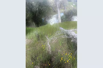 1575 Parkhill Road, Santa Margarita, CA 93453 - Photo 54