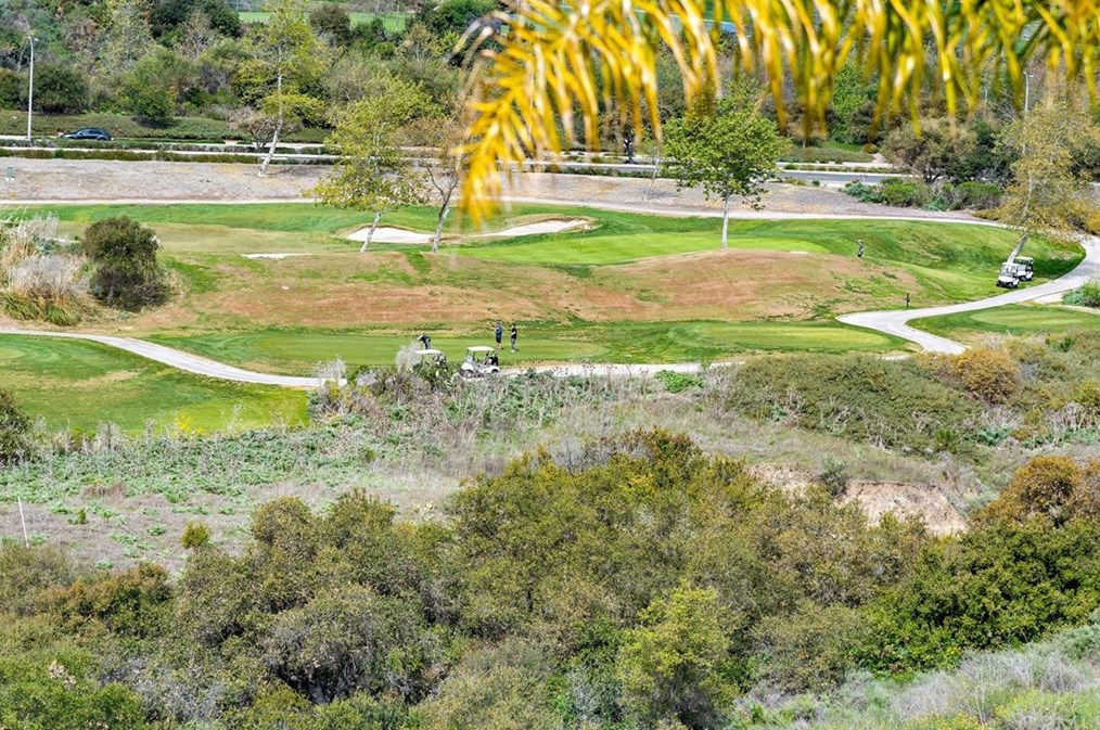 53 Via Cartama, San Clemente, CA 92673