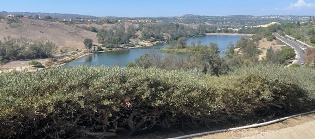 28827 El Adolfo, Laguna Beach, CA 92677-7665