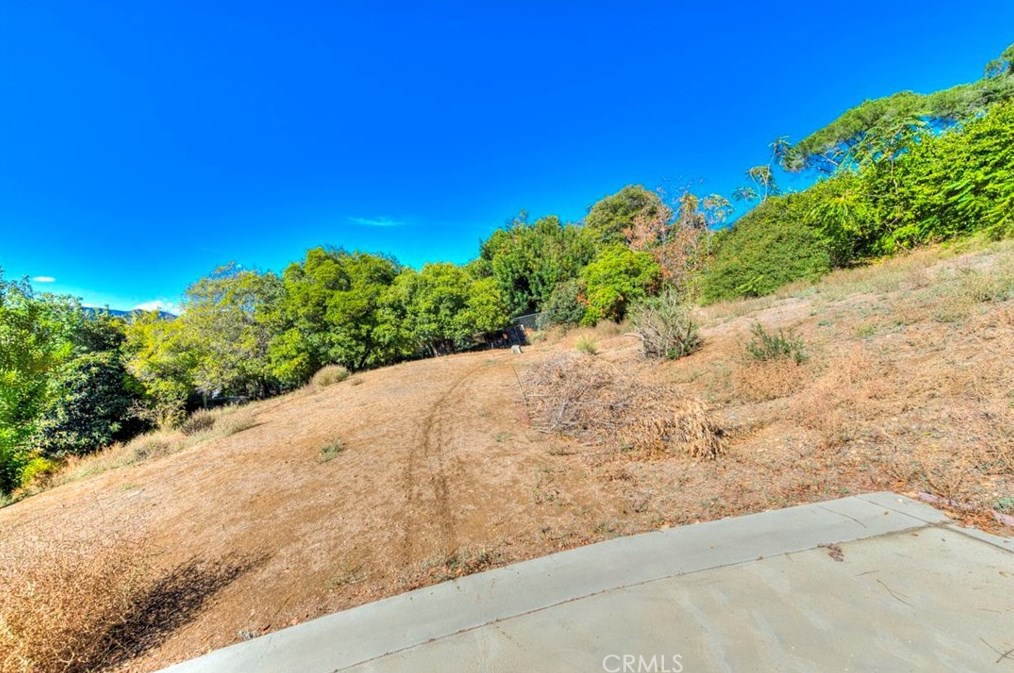 3173 Weldon Ave, Los Angeles CA  90065-2954 exterior