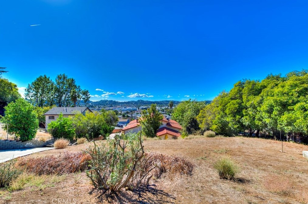 3173 Weldon Ave, Los Angeles CA  90065-2954 exterior