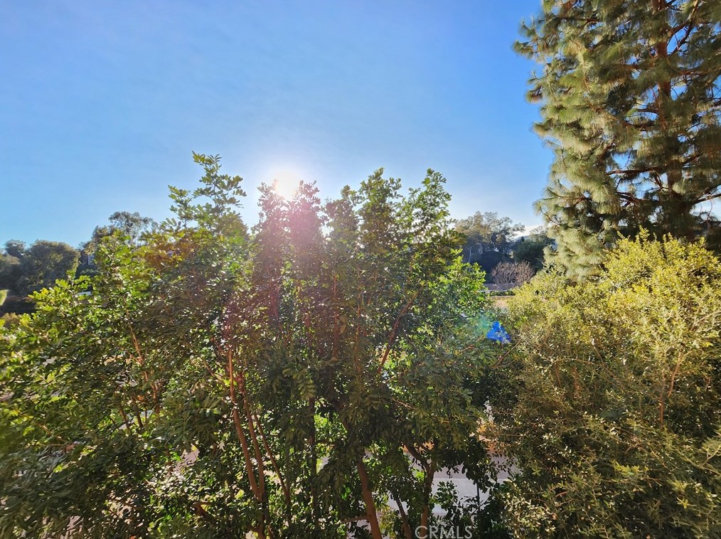 24055 Paseo Del Lago, Laguna Beach CA  92637-2678 exterior