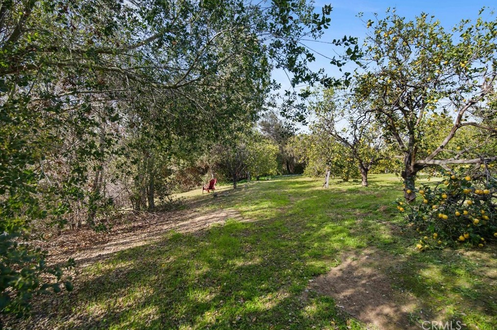 408 Tumble Creek Ln, Fallbrook CA  92028-2543 exterior