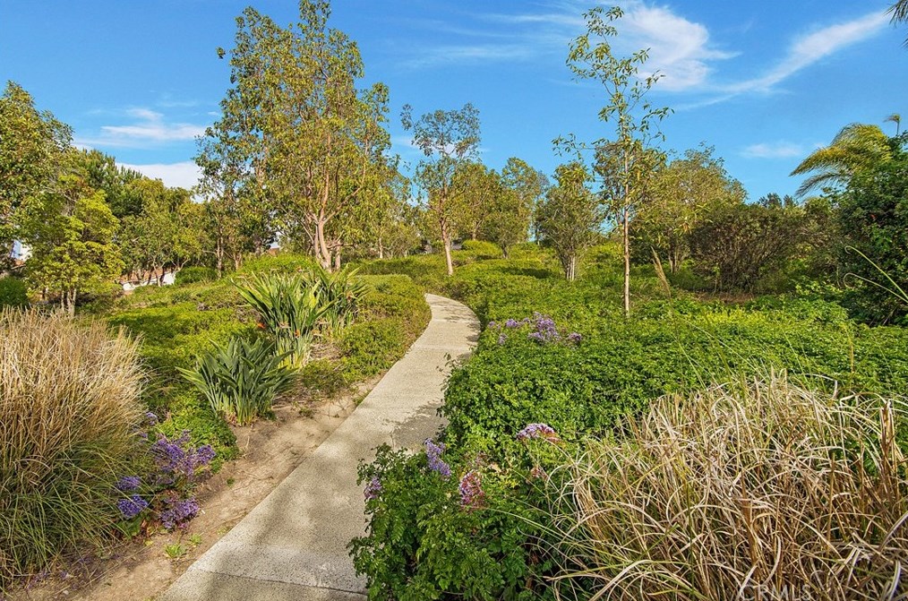 6 Daytona Dr, Laguna Beach CA  92677-5175 exterior