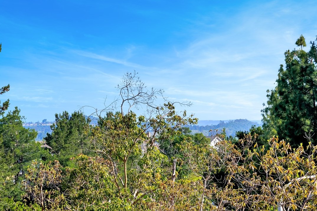 77 Parrell Ave, El Toro, CA 92610