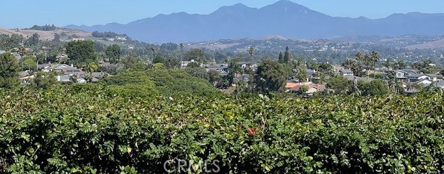 33622 Via Martos, Dana Point, CA 92629