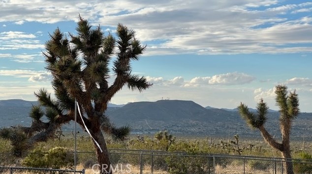 7586 Olympic Rd, Joshua Tree CA  92252-2956 exterior