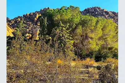 66058 Foothill Drive, Joshua Tree, CA 92252 - Photo 10