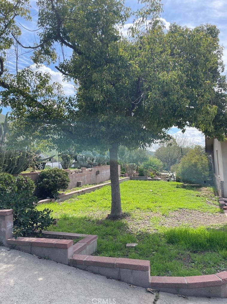2953 Floral Ave, Riverside CA  92507-3213 exterior