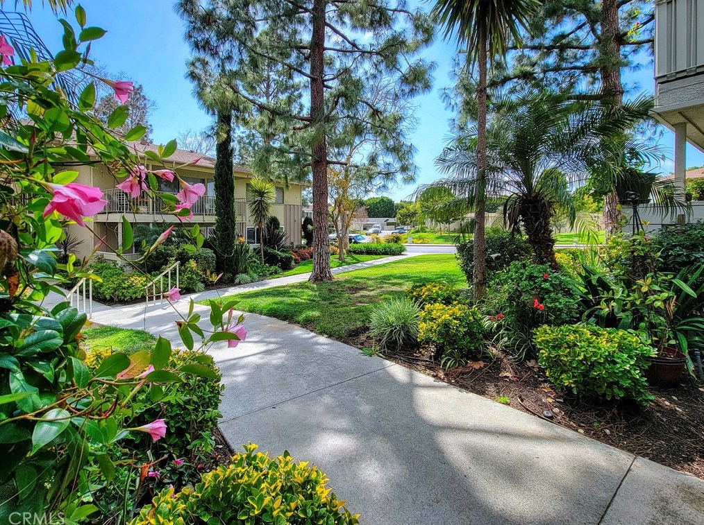 363 Avenida Castilla, Laguna Beach CA  92637-3732 exterior