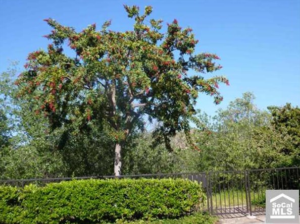 30 Morning Star, Irvine, CA 92603-3745