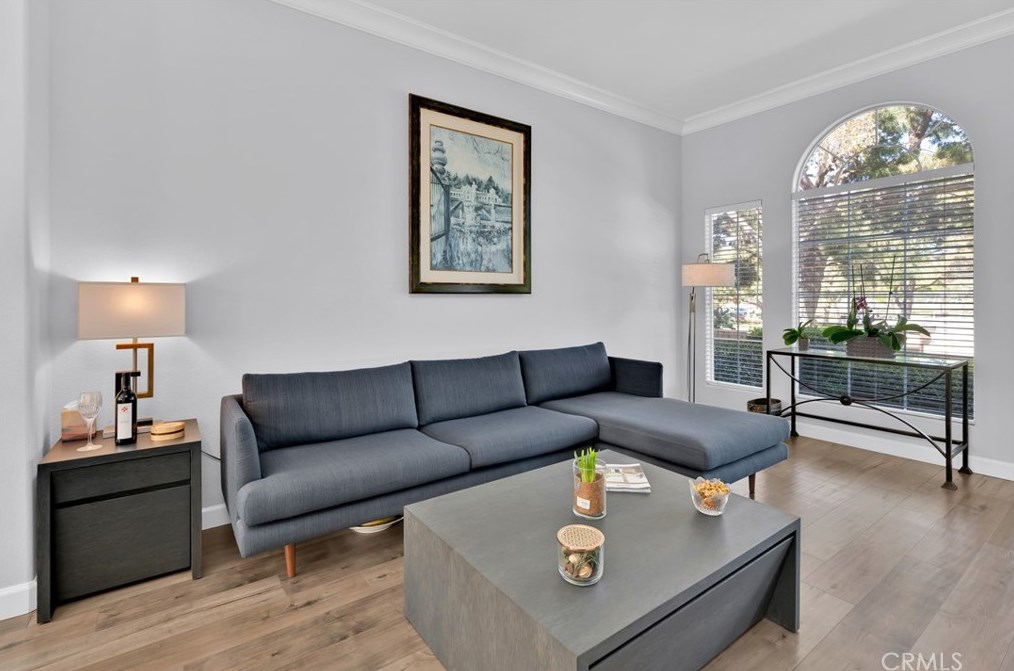 12 Palmieri Aisle, Irvine, CA 92606-8368