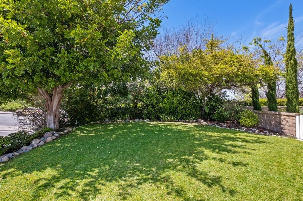 21552 Cabrosa, San Juan Capistrano, CA 92691-1238
