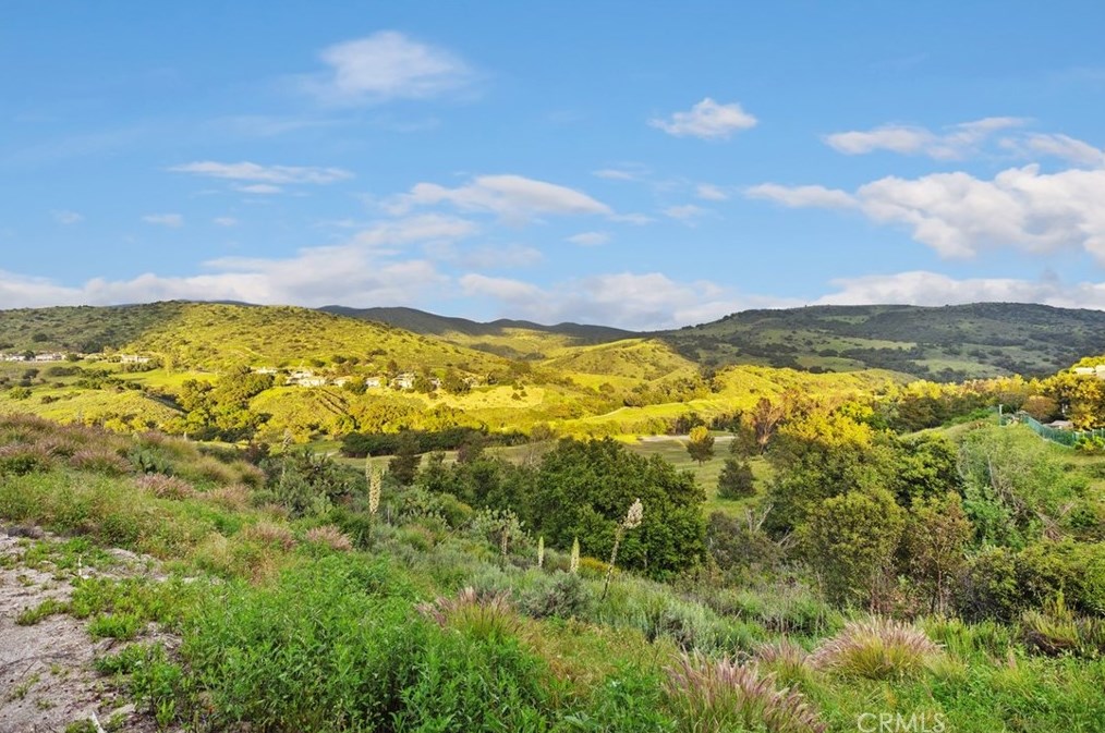 8 Sawmill, Trabuco Canyon CA  92679-4205 exterior