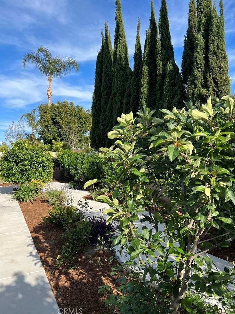 910 Alton Ave, Santa Ana CA  92707-3960 exterior