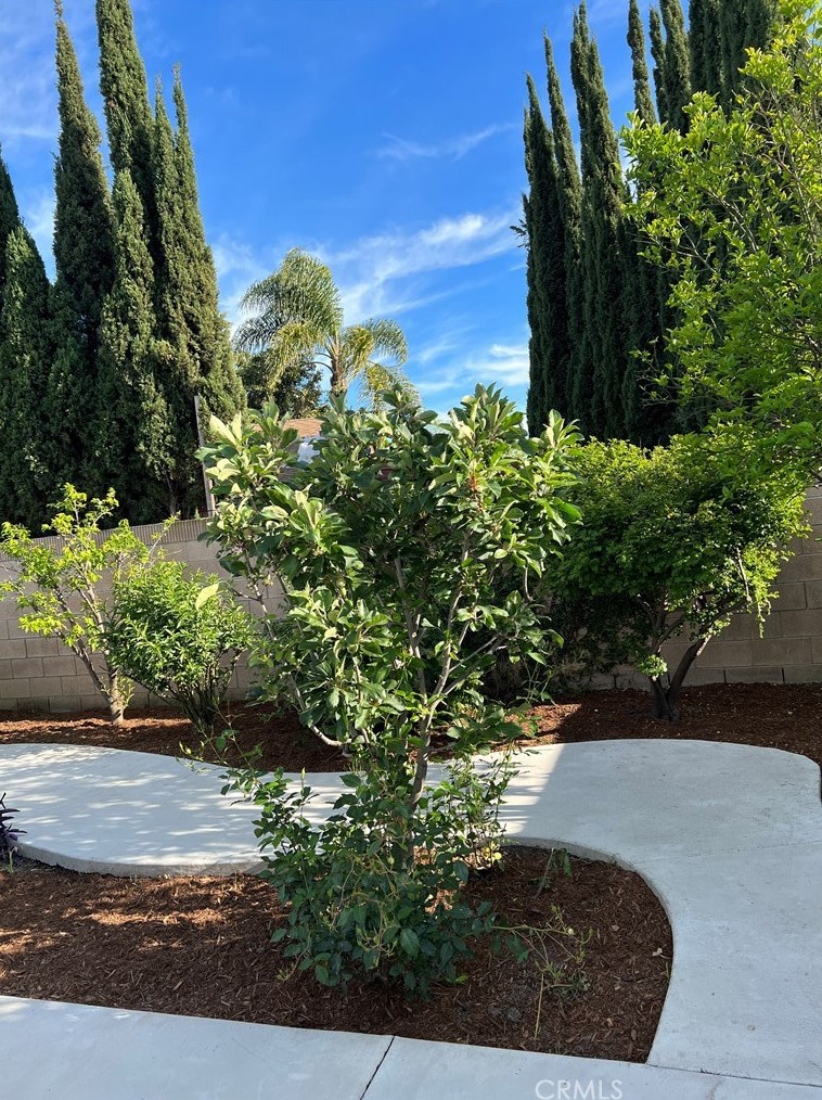 910 Alton Ave, Santa Ana CA  92707-3960 exterior