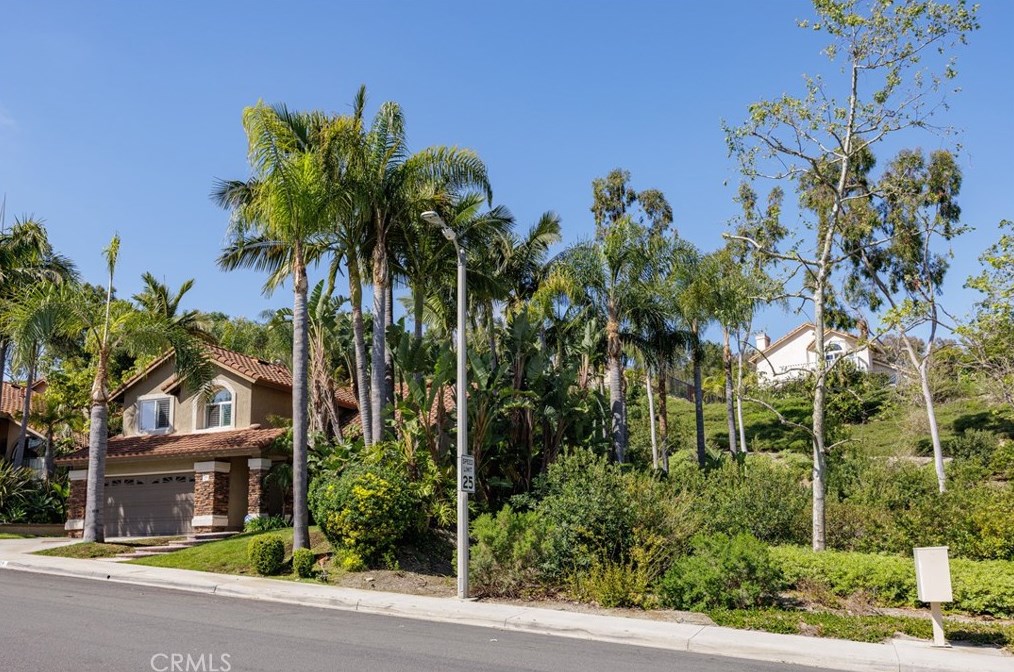 29 San Bonifacio, Trabuco Canyon, CA 92688