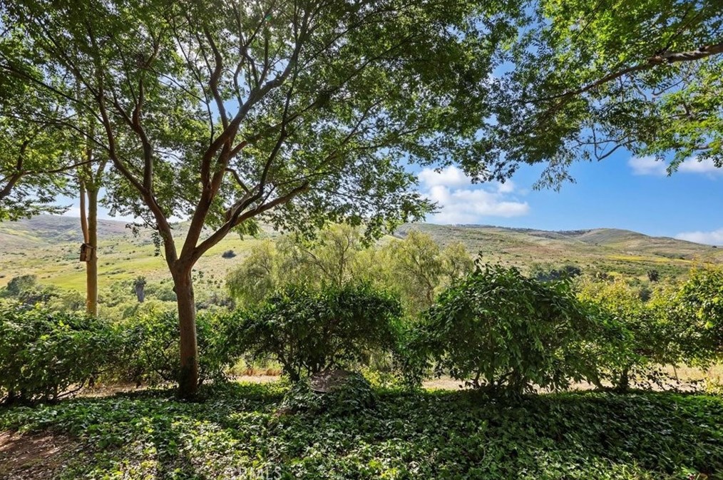 22135 Caminito Laureles, Laguna Beach, CA 92653-1170