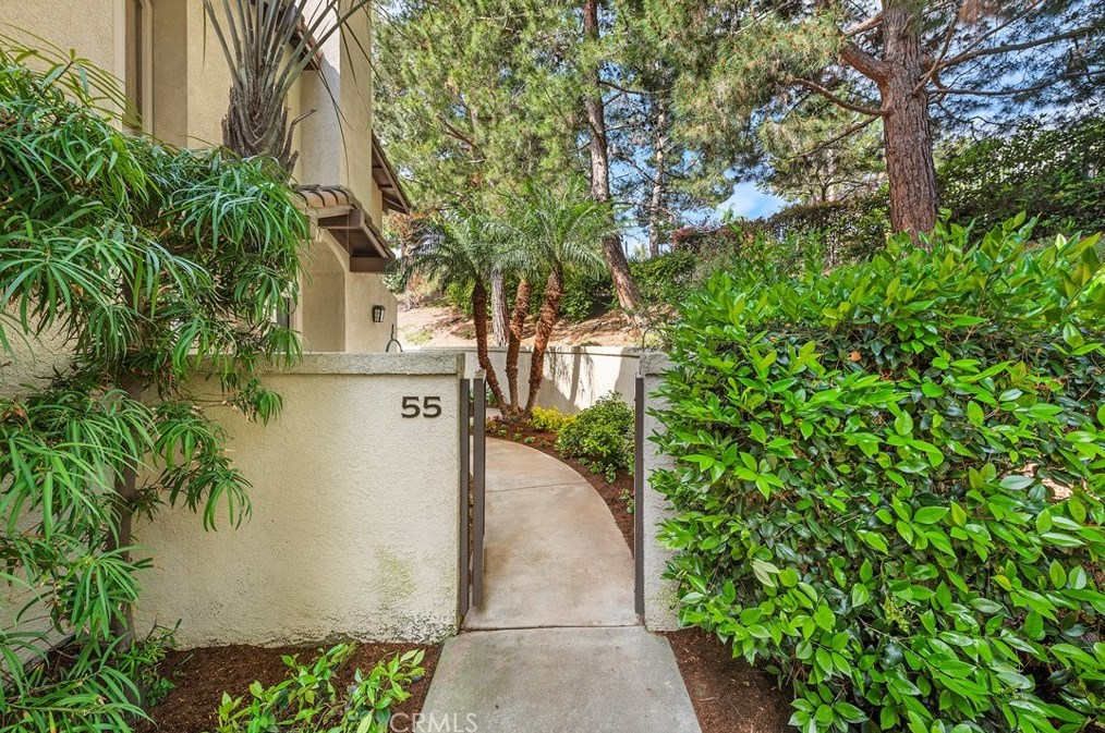 55 Tierra Plano, Trabuco Canyon, CA 92688-3322
