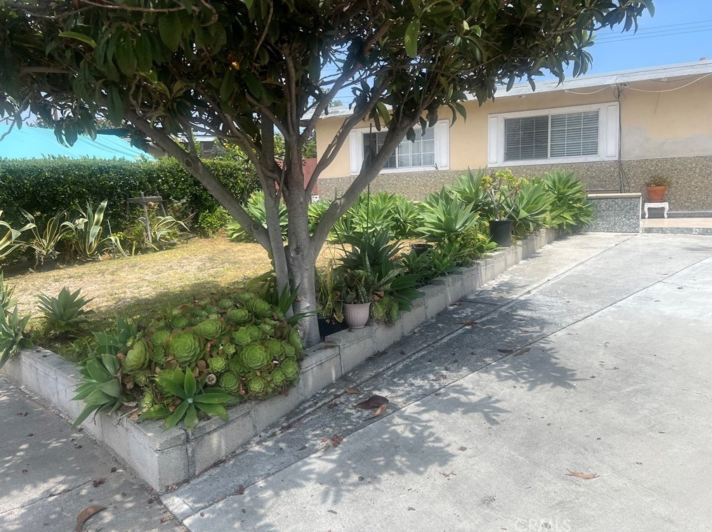8245 Lime Cir, Buena Park, CA 90620