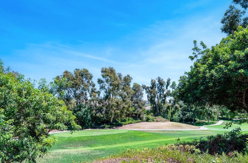 10 Calle Del Norte, Trabuco Canyon, CA 92688