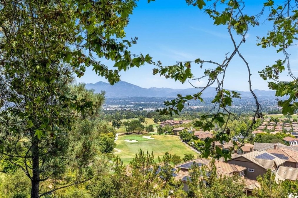 46 Verdin Ln, Laguna Beach, CA 92656