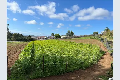 2205 Bautista Avenue, Vista, CA 92084 - Photo 6