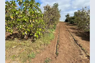 2205 Bautista Avenue, Vista, CA 92084 - Photo 20