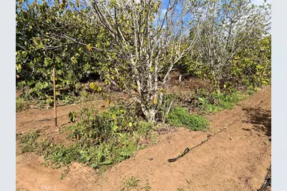 2205 Bautista Avenue, Vista, CA 92084 - Photo 18