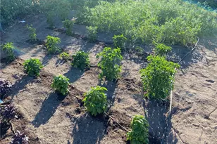 1340 Penman Springs Rd, Paso Robles, CA 93446 - Photo 12