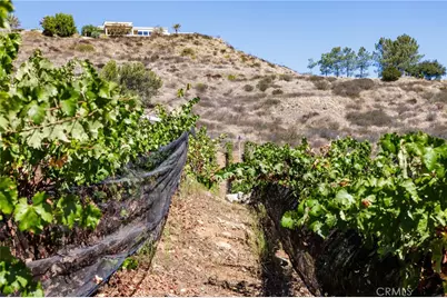 2284 Sunshine Mountain Road, San Marcos, CA 92069 - Photo 68