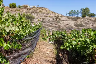 2284 Sunshine Mountain Rd, San Marcos, CA 92069 - Photo 68