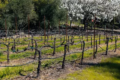 1001 Silverado Trail South, St. Helena, CA 94574 - Photo 64