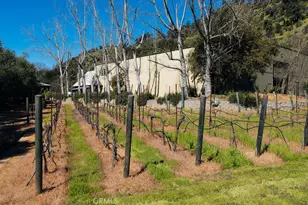 1001 Silverado Trail S, St. Helena, CA 94574 - Photo 64