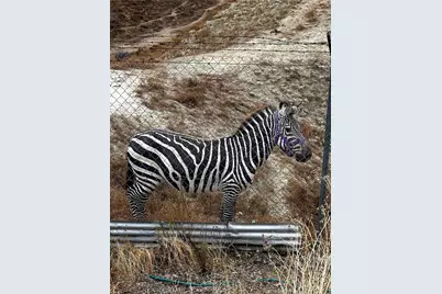 300 Anderson Drive, Hemet, CA 92544 - Photo 52