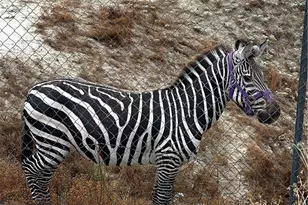 300 Anderson Dr, Hemet, CA 92544 - Photo 52