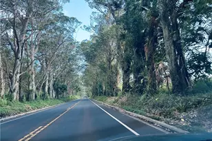 5017 Lawai Road Alley, Outside Area (Outside Ca), HI 96756 - Photo 10