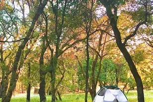 11363 Shadow Ln, Browns Valley, CA 95918 - Photo 34