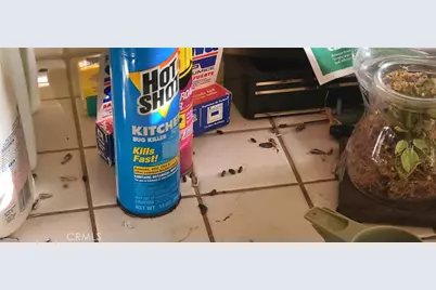 19542 Marcy Drive, Santa Ana, CA 92705 - Photo 38