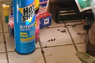 19542 Marcy Dr, Santa Ana, CA 92705 - Photo 38