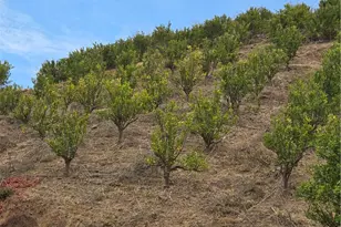 45860 Calle Cuero, Temecula, CA 92590 - Photo 6