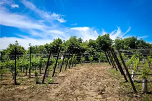 45100 La Cruz Dr, Temecula, CA 92590 - Photo 12