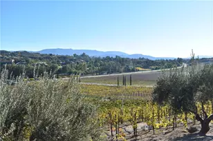 45211 Tioga St, Temecula, CA 92592 - Photo 58