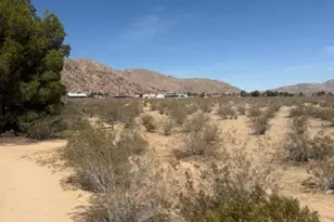 0 Ocotilla, Apple Valley, CA 92307 - Photo 1