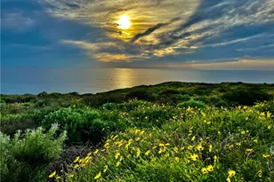 26972 Mill Pond Rd, Dana Point, CA 92624 - Photo 58