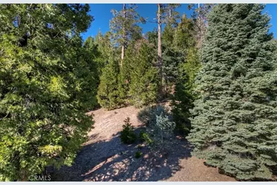 2402 Spring Oak Drive, Running Springs, CA 92382 - Photo 12