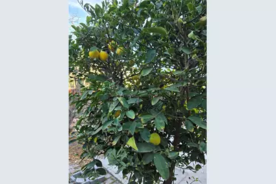 537 Peregrine Lane, San Jacinto, CA 92582 - Photo 28